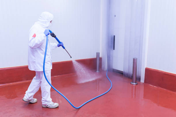 Best Machinery and Equipment Cleaning  in Shirley, NY