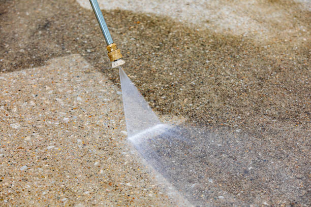 Best Spring Cleaning  in Shirley, NY